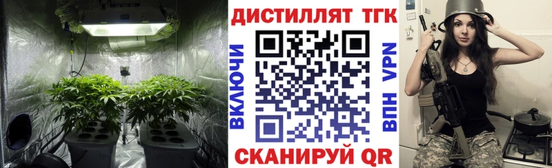 omg ссылка  Тбилисская  ТГК вейп 